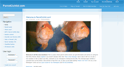 Desktop Screenshot of parrotcichlid.thedesignspace.net