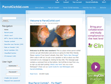 Tablet Screenshot of parrotcichlid.thedesignspace.net